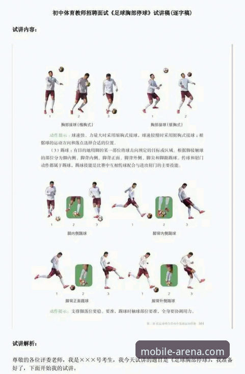 半岛体育平台深度解析：一站式官方体育服务详解